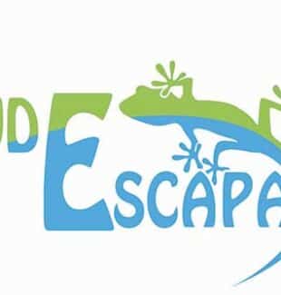 Aude Escapage, loisirs sportifs sur les plus beaux site du pays cathare et du Haut-Languedoc