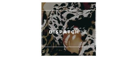 logo boutique Dispatch'In Revel, mode pour femme